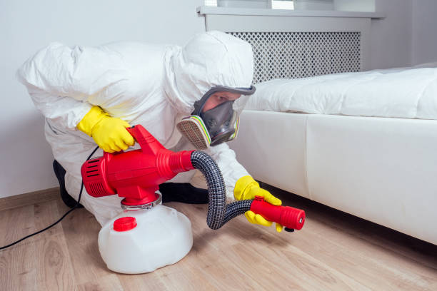 Flea Control Services in Forest, MS
