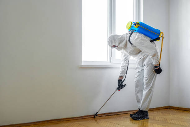 Best Exterminator Services  in Forest, MS