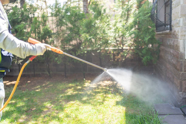 Best Insect Control  in Forest, MS