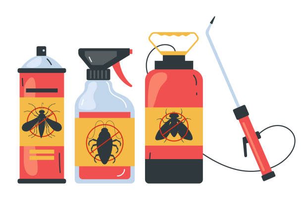 Best Insect Control  in Forest, MS
