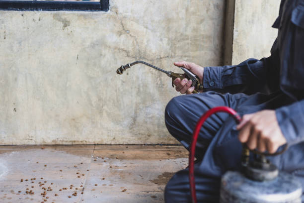 Best Pest Removal Services  in Forest, MS